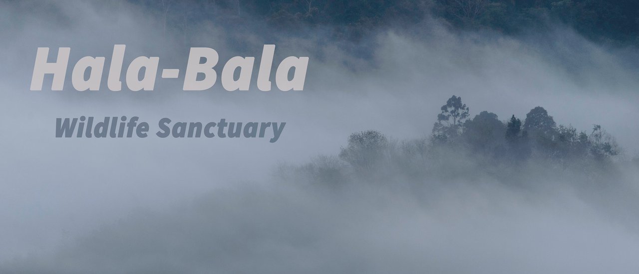 cover "Halabala, the dense jungle at the edge of Siam"