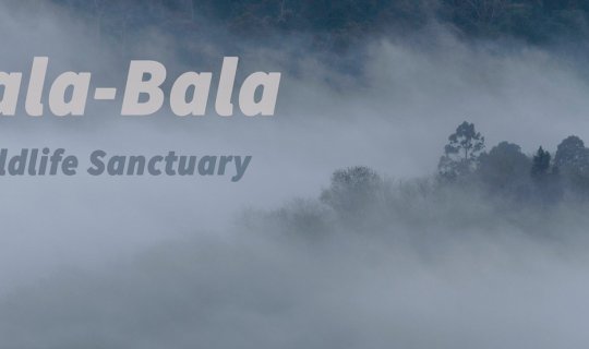 Cover "Halabala, the dense jungle at the edge of Siam"...