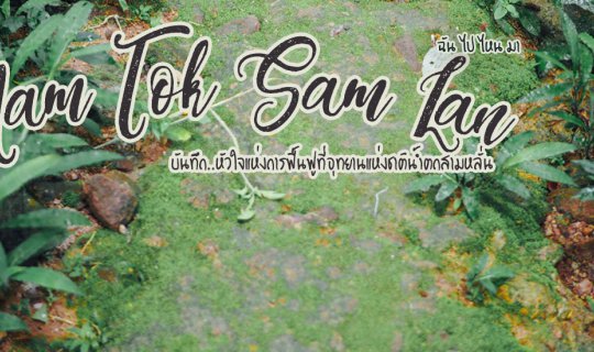 Cover Record: The Heart of Restoration at Sam Lan National Park...