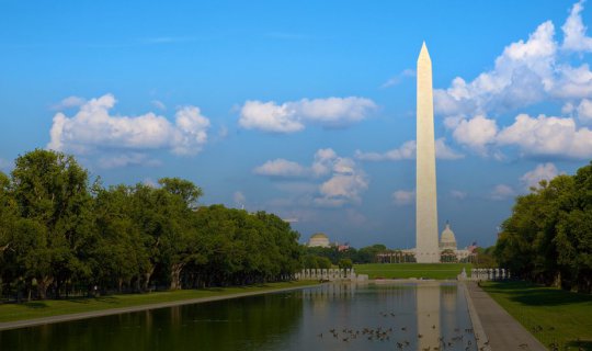 cover Traveling Solo in Washington D.C.