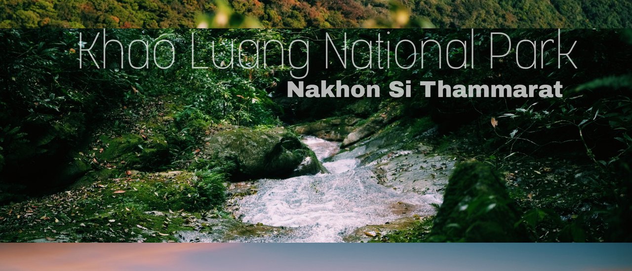 cover Khao Luang National Park, Nakhon Si Thammarat: The Richness of the Southern Forest