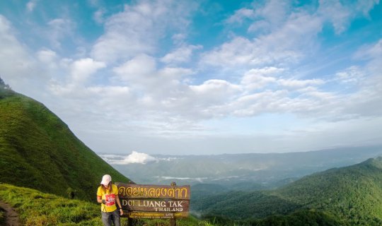cover Taking the dog for a walk at Doi Luang Tak 2018
