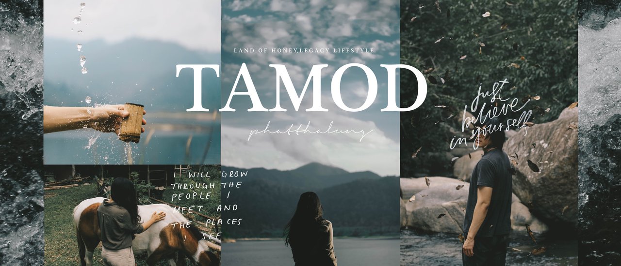 cover Indulge in the tranquility of the Takmod community in Phatthalung.