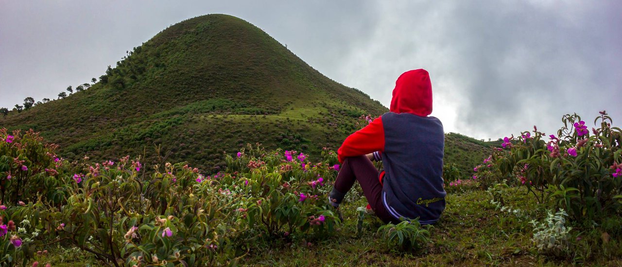 cover Doi Pui Luang, Ban Huai Hee, Mae Hong Son. If you have the strength to hike, you should go at least once.