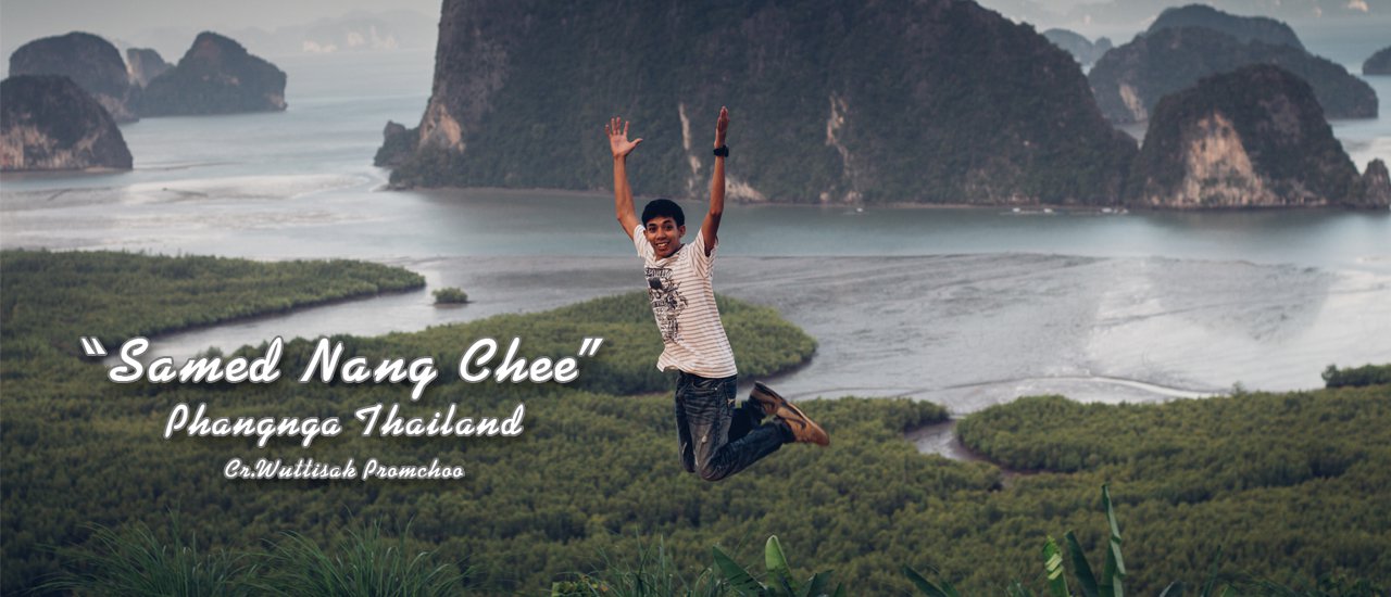 cover Koh Samet
This is the most likely translation of "เสม็ดนางชี" in English. It is the name of a popular island in Thailand.