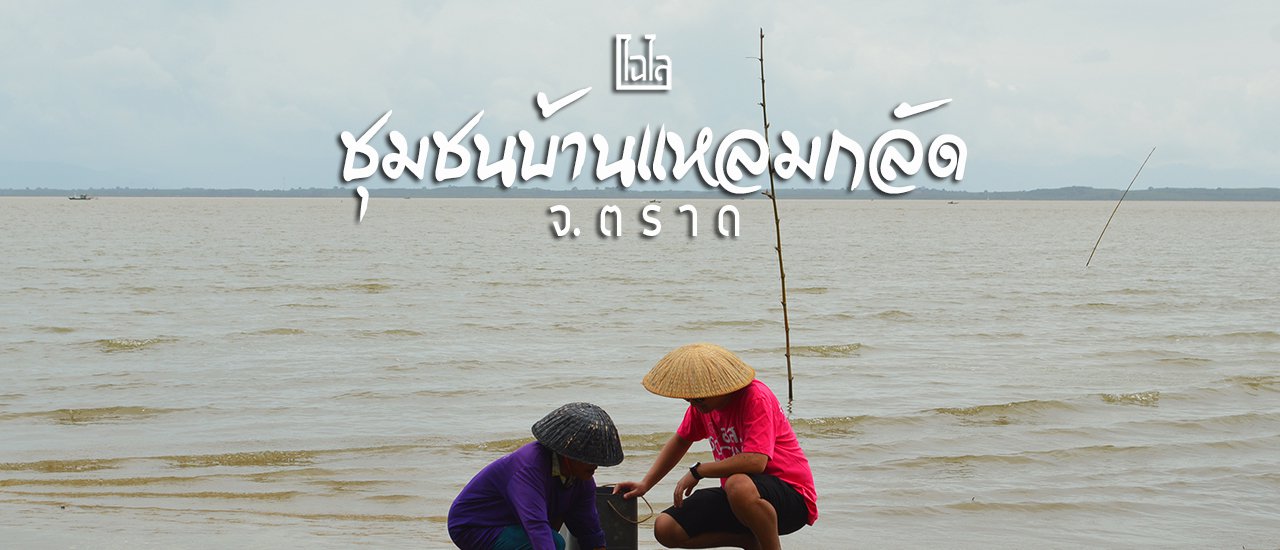 cover Community of Ban Laem Klat: Shellfish Gathering, Crab Trapping, and Observing the Fishermen's Way of Life