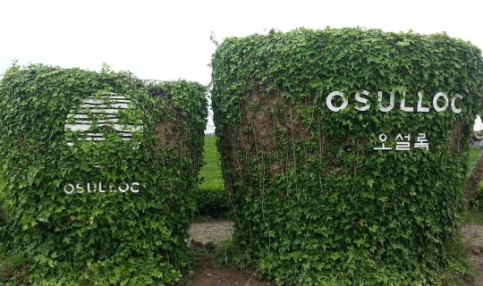 cover Wear a warm jacket when visiting Jeju Island.