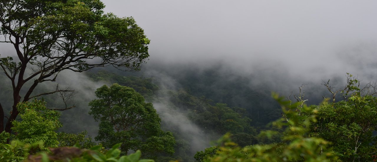 cover ภูเมี่ยง...ไม่เดี้ยงแน่นอน
English
Phu Mieng...Definitely Won't Die