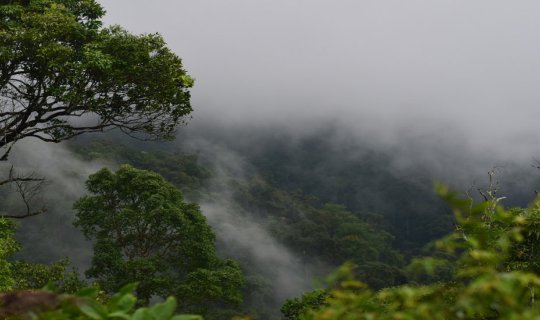 Cover ภูเมี่ยง...ไม่เดี้ยงแน่นอน
English 
Phu Mieng...Definitely Won't D...