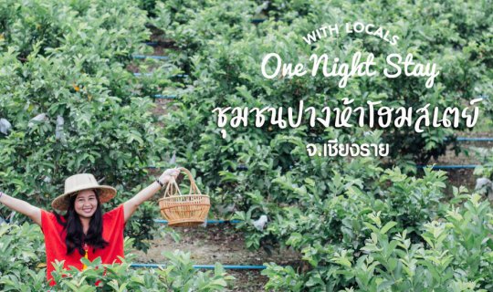 cover As.17 Pang Ha Homestay Community, Chiang Rai | Simple Living, Close to Nature