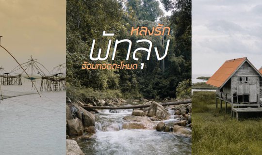 cover As.9 Aomkhot Takmod: Embrace the embrace of nature and mountains, another must-visit destination in Phatthalung Province.