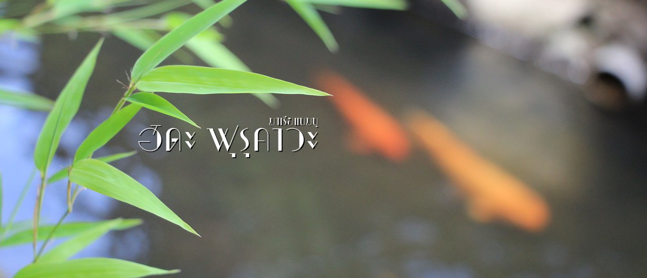 cover Hida Furukawa: A Town of Tranquility, Mountains, and Koi Fish.