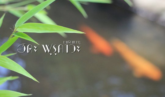 cover Hida Furukawa: A Town of Tranquility, Mountains, and Koi Fish.