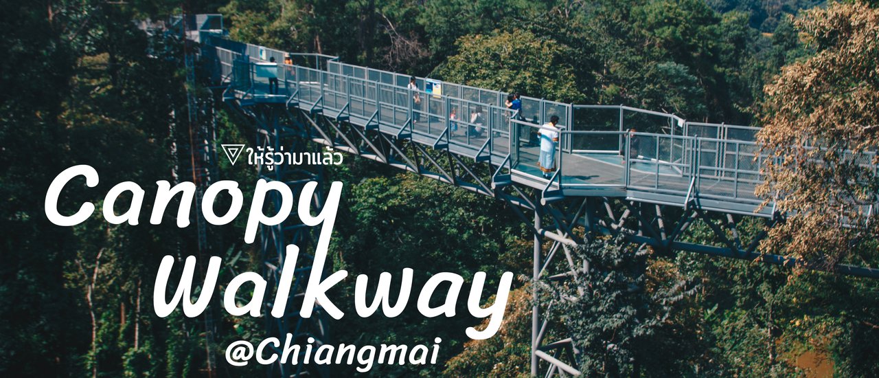 cover Canopy Walkway: Thailand's Longest Treetop Adventure
This sentence announces the arrival of the Canopy Walkway, highlighting its status as the longest treetop walkway in Thailand.