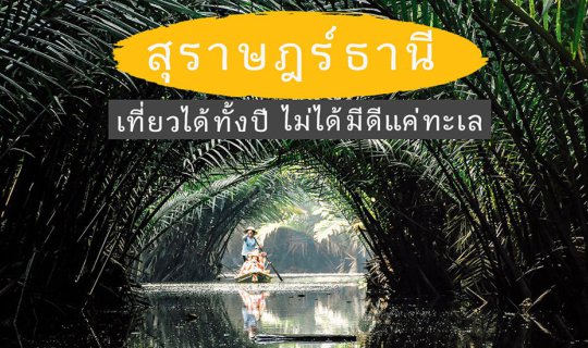 Cover Surat Thani: Year-round travel without relying on the sea....