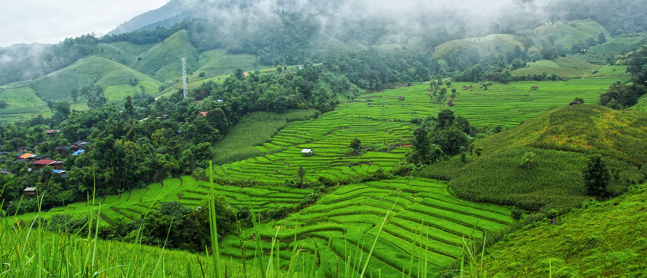 cover #ม่วงมหากาฬรีวิว #“ 7 น า ขั้ น บั น ไ ด " จังหวัดเชียงใหม่ สักครั้งต้องไปเยือน