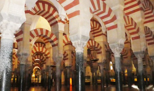 cover Córdoba City Review (Spain)