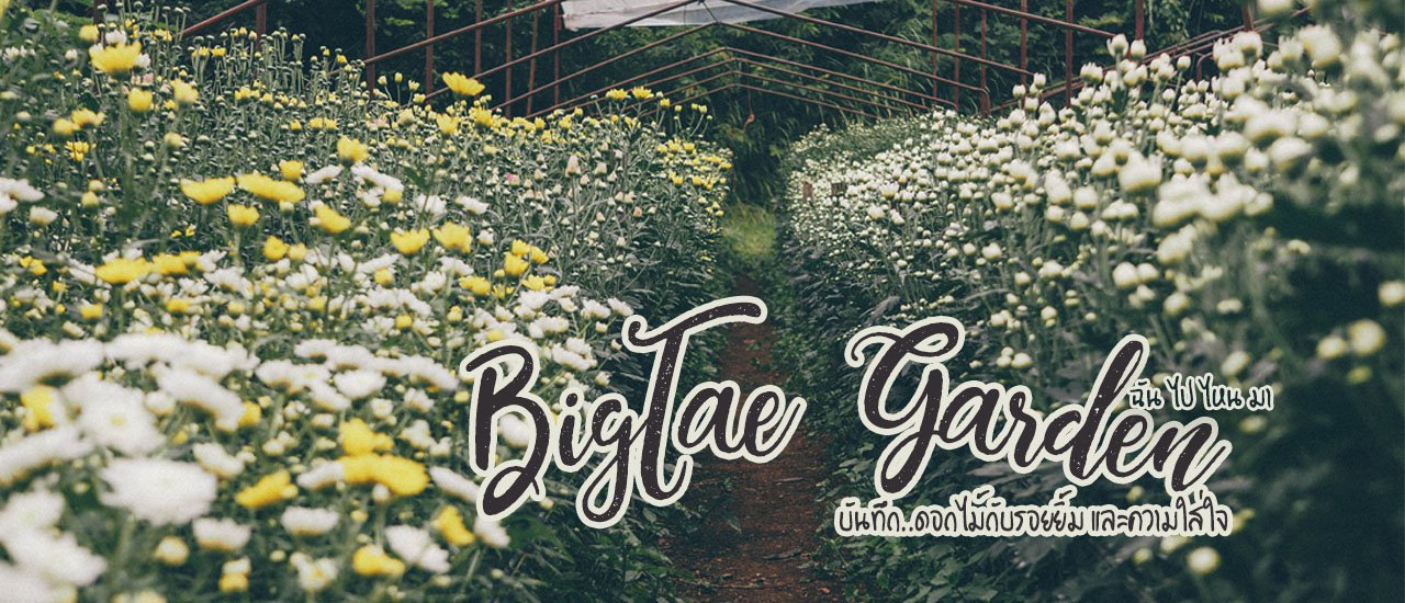 cover ... Flowers, smiles, and care at Big Tae Flower Garden.