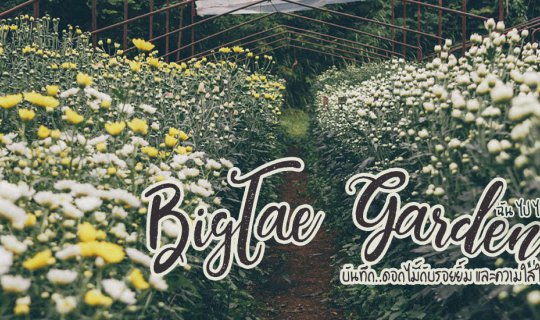 Cover ... Flowers, smiles, and care at Big Tae Flower Garden....