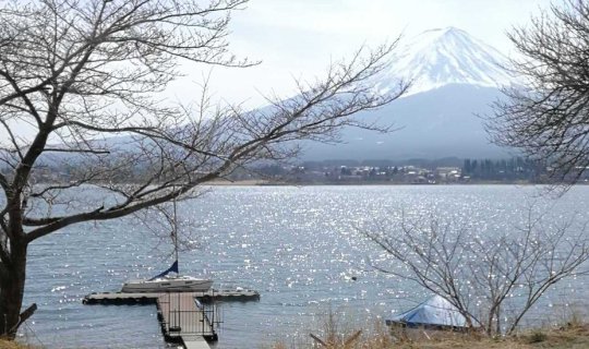 Cover Tokyo Kawaguchiko Trip Part 2: Hello Mount Fuji and Tokyo Highlights...