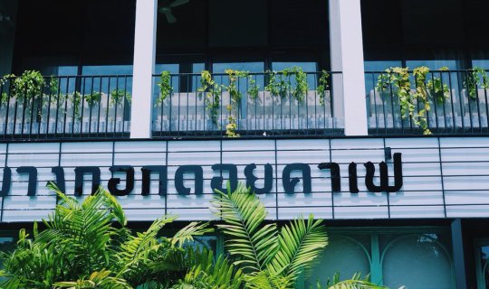 cover Sip cool coffee at Bangkok Doi Kafe, Nonthaburi. ☕️