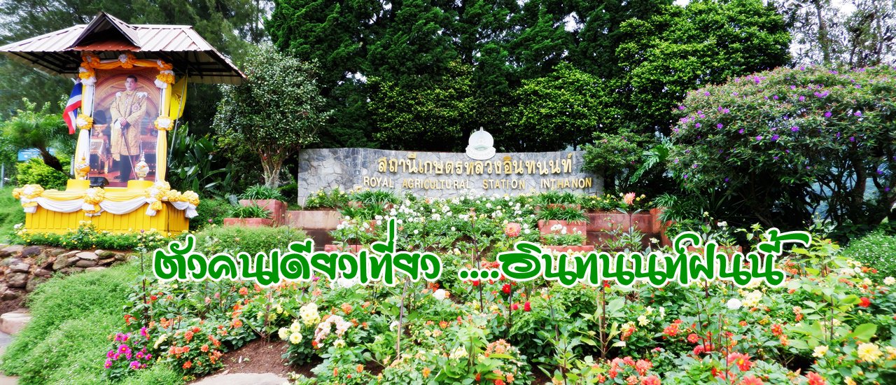 cover Solo Travel ... Doi Inthanon This Rainy Season :: Inthanon Royal Agricultural Station