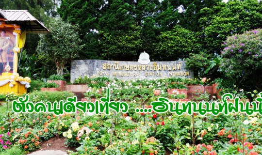 cover Solo Travel ... Doi Inthanon This Rainy Season :: Inthanon Royal Agricultural Station