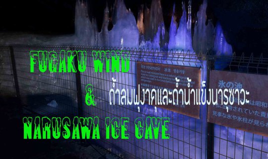 cover Fugaku Wind & Narusawa Ice Cave (鳴沢氷穴): Life Below Zero