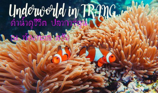 Cover Underworld in Trang - Diving with Clownfish in the Trang Sea...