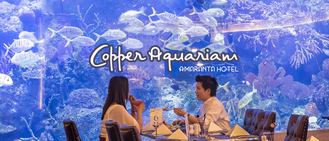 cover Copper Aquarium Restaurant Seafood Buffet Review: Huai Khwang

Copper Aquarium Restaurantoffers a seafood buffetexperience in the Huai Khwangdistrict.