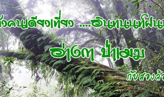 cover Solo Adventure: Doi Inthanon in the Rainy Season: Ang Ka, Pa Maek, and My Two-Wheeled Companion