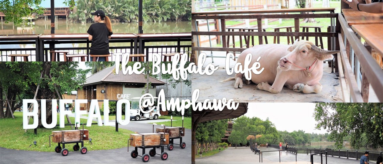 cover The Buffalo Cafe: "คาเฟ่เจ้าทุย" - A Relaxing Spot by the Mae Klong River
The Buffalo Cafe, also known as "คาเฟ่เจ้าทุย" in Thai, offers a chilled-out atmosphereright by the scenic Mae Klong River.