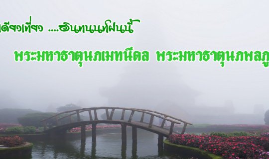 cover Solo Travel to Doi Inthanon in the Rainy Season: A Journey to the Sacred Peaks of Nophamethinidon and Nophaphonphumisiri