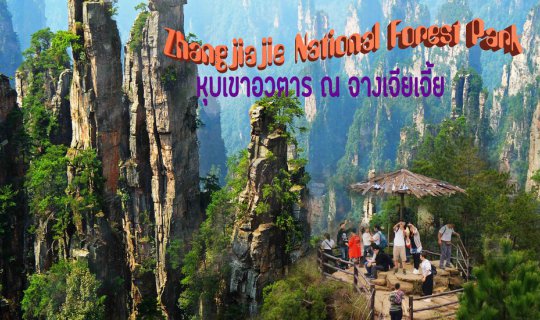 Cover Zhangjiajie National Park: An Avatar-like Landscape for Solo Travele...