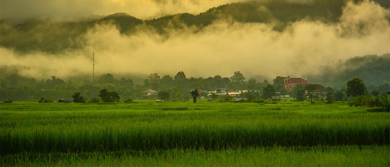 cover + น่ - า - น  ไ ง !  หนีงานไปกินข้าวกับเขา + +