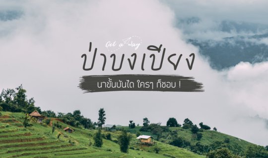 Cover The terraced rice fields of Pa Bong Piang are a popular tourist dest...