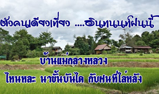 cover A Solo Trip to Doi Inthanon in the Rainy Season: Where are the Terraced Rice Fields of Ban Mae Klang Luang and the Chasing Rain?