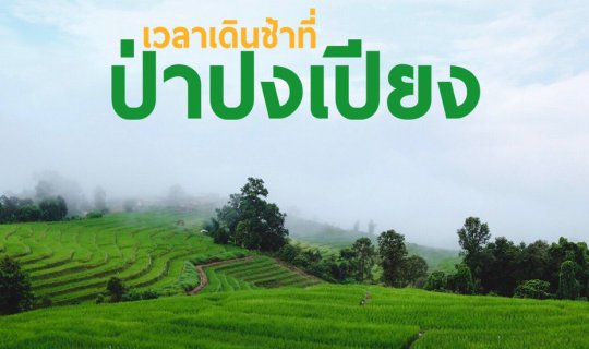 cover Time slows down in the Pa Pong Piang forest.