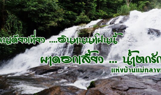 cover Solo Adventure in the Rainy Season: Pha Dok Siew and Rak Jang Waterfall at Mae Klang Luang Village, Inthanon