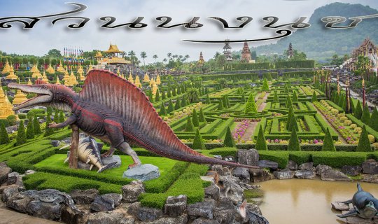 cover Visiting Nong Nooch Garden Pattaya