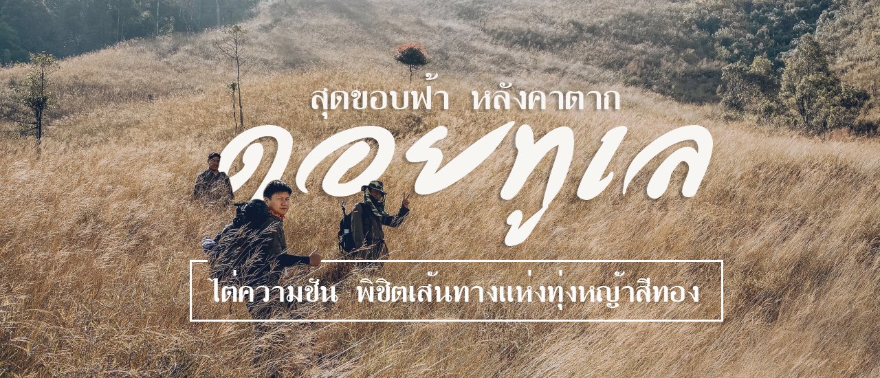 cover คนหลงทาง #8 : สุดขอบฟ้า หลังคาตาก ณ 'ด อ ย ทู เ ล' ไต่ความชัน พิชิตเส้นทางแห่งทุ่งหญ้าสีทอง