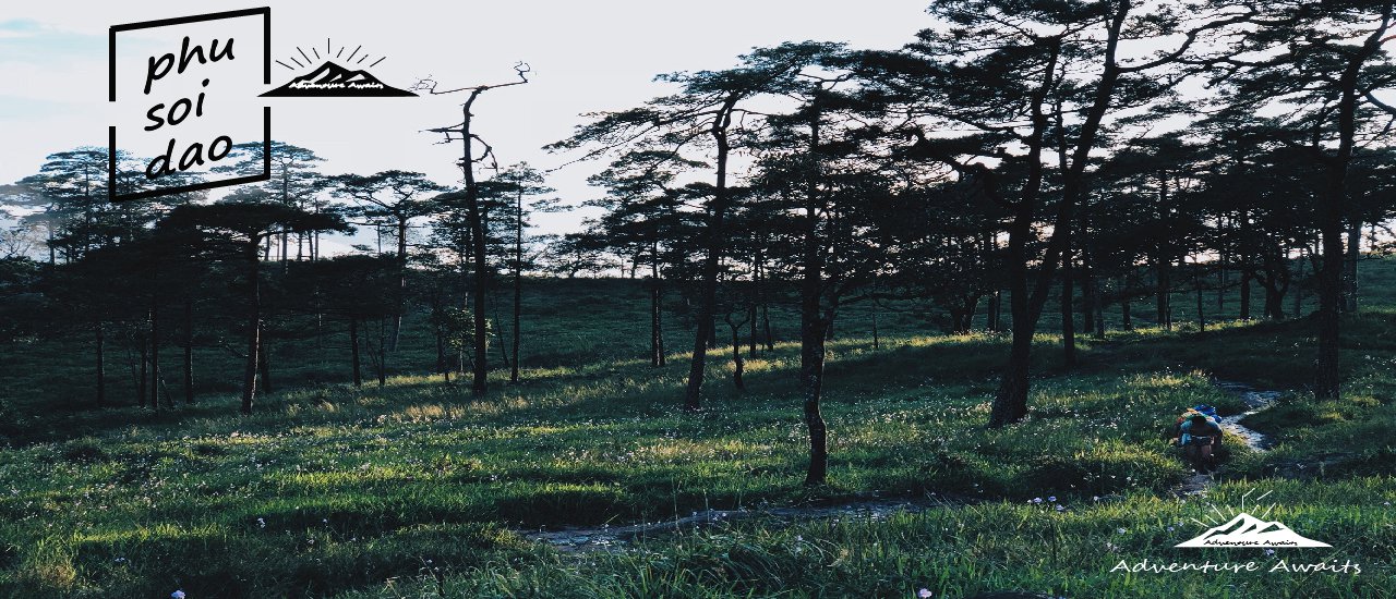 cover "Phu Soi Dao" The mountain where you can't find stars in the rainy season.