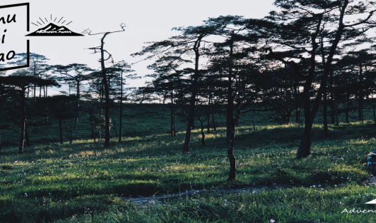 Cover "Phu Soi Dao" The mountain where you can't find stars in the rainy s...
