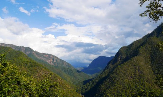 Cover Let's go for a drive in Mae Hong Son, stop by the Bo Kaew Pine Fores...