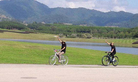 cover Cycling at Singha Park, picking tea at Choui Fong Tea Plantation, Chiang Rai has more to offer than you think (right?)