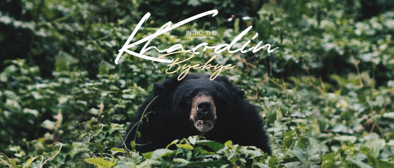 cover Intro to the Dusit Zoo