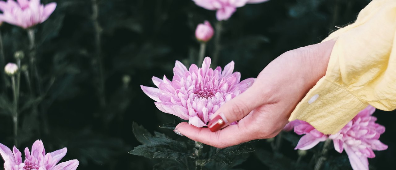 cover Big Tae Garden Tour