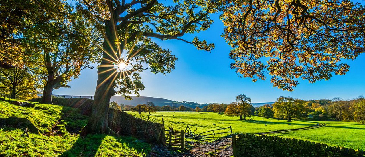 cover How to Travel and Earn Money: Generating Income Through Travel
This phrase explores the concept of earning money while traveling, suggesting that travel can be more than just a leisure activity but also a potential source of income.