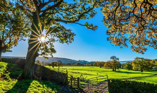 Cover How to Travel and Earn Money: Generating Income Through Travel
This...