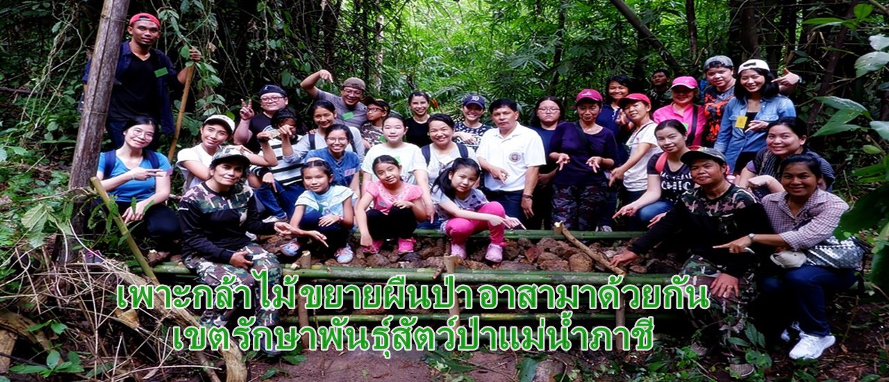 cover Planting Seedlings, Expanding Forests, Volunteering Together: Mae Nam Phachi Wildlife Sanctuary